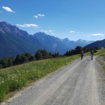 Ob Mountainbike, Wandern oder Trail Running - ein Paradies für alle Naturliebhaber